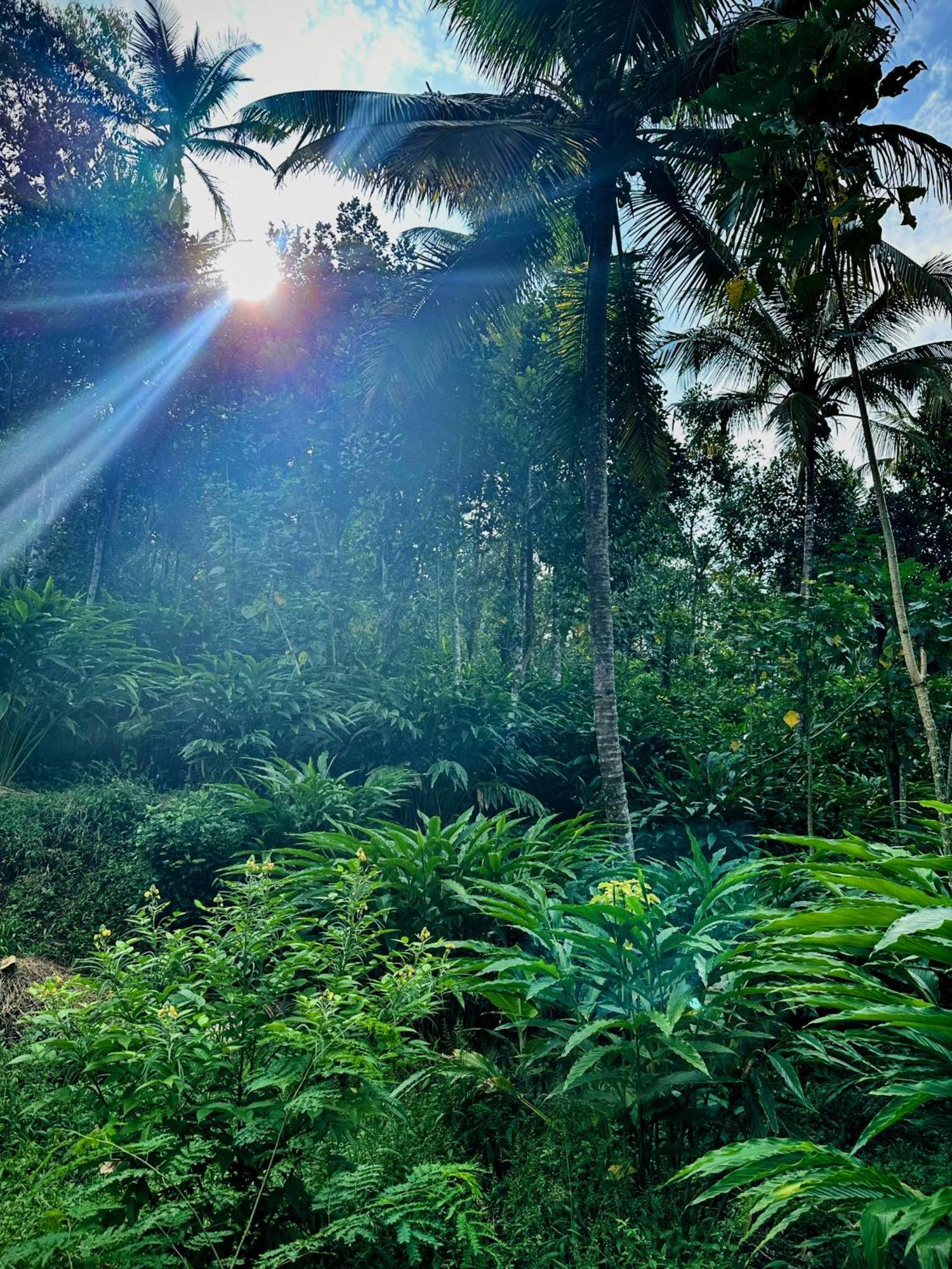 Thoppil Homestay Munnar Kültér fotó